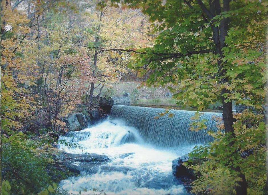 וורוויק Cottage At Millpond Falls - A Romantic Escape מראה חיצוני תמונה